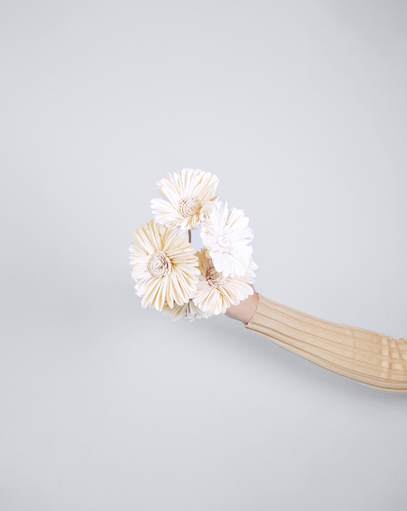 Sola Sunflower Off White | 5 Stems