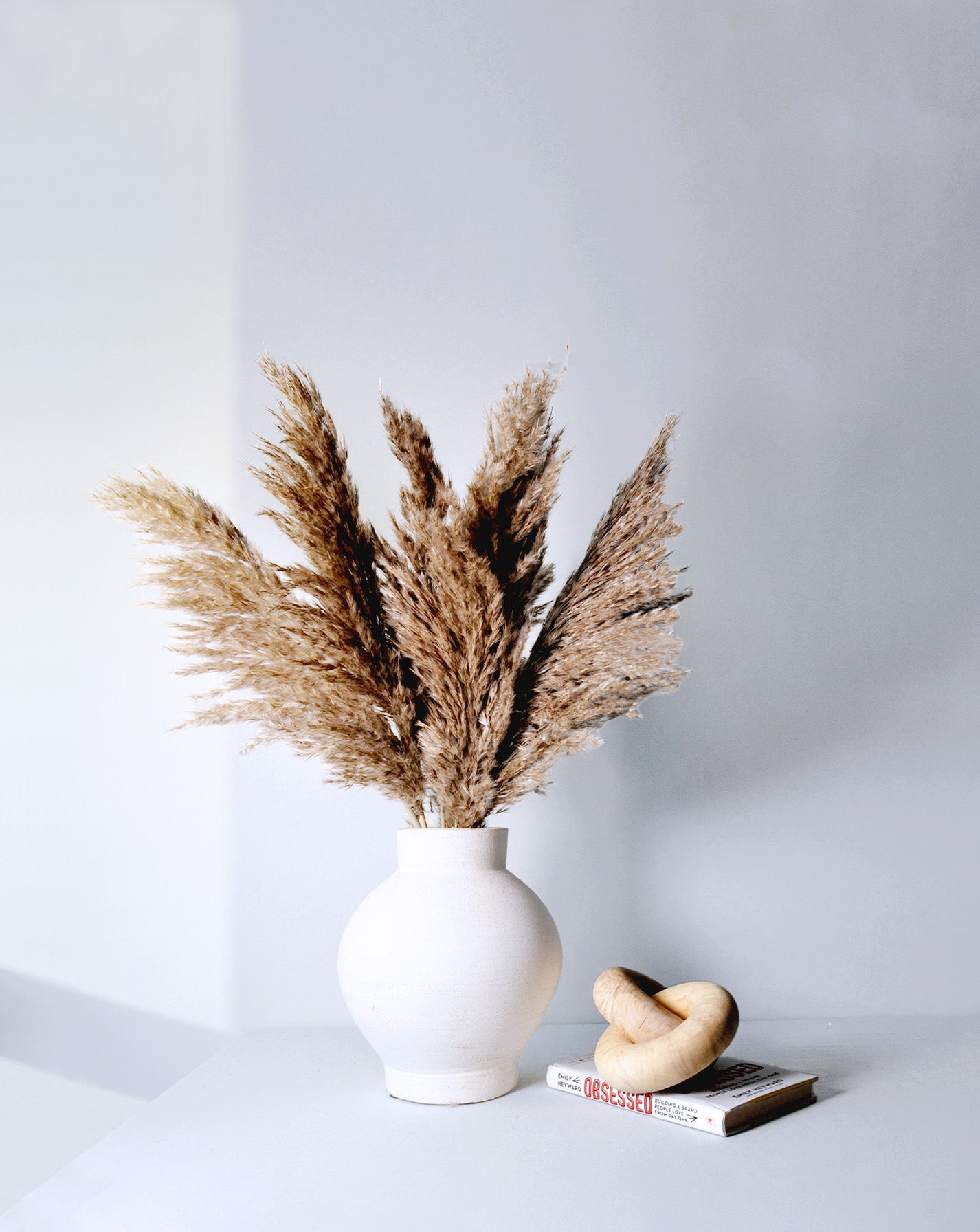 Fluffy Pampas Grass | 10 Stems
