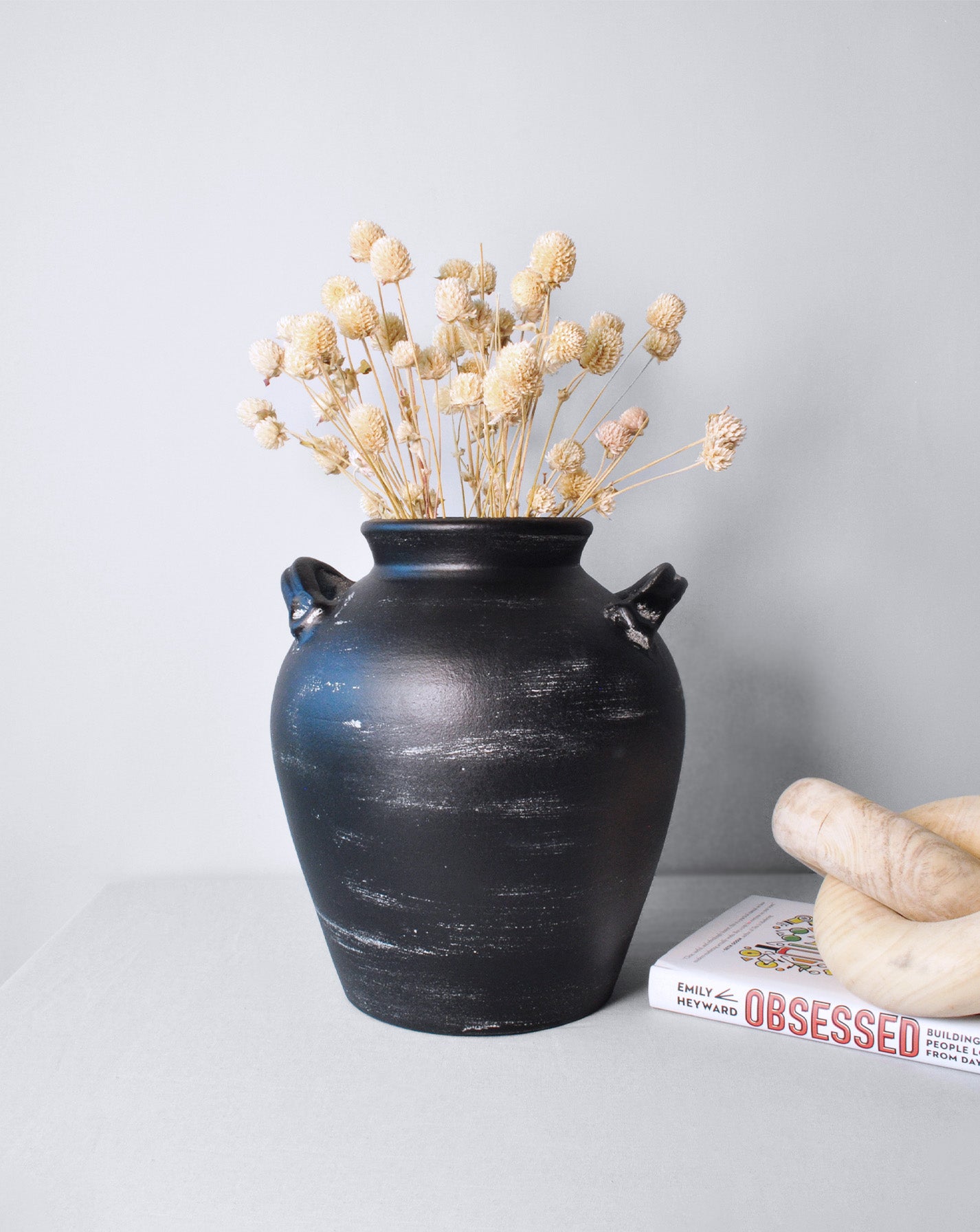 Gomphrena beige Dried flowers Stems | 25 stems