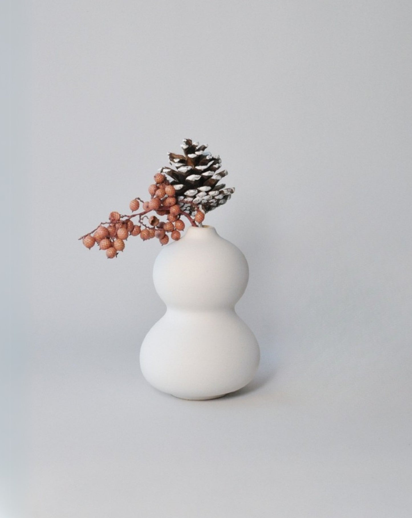Pine Cones Frosted Texture | 3 Stems