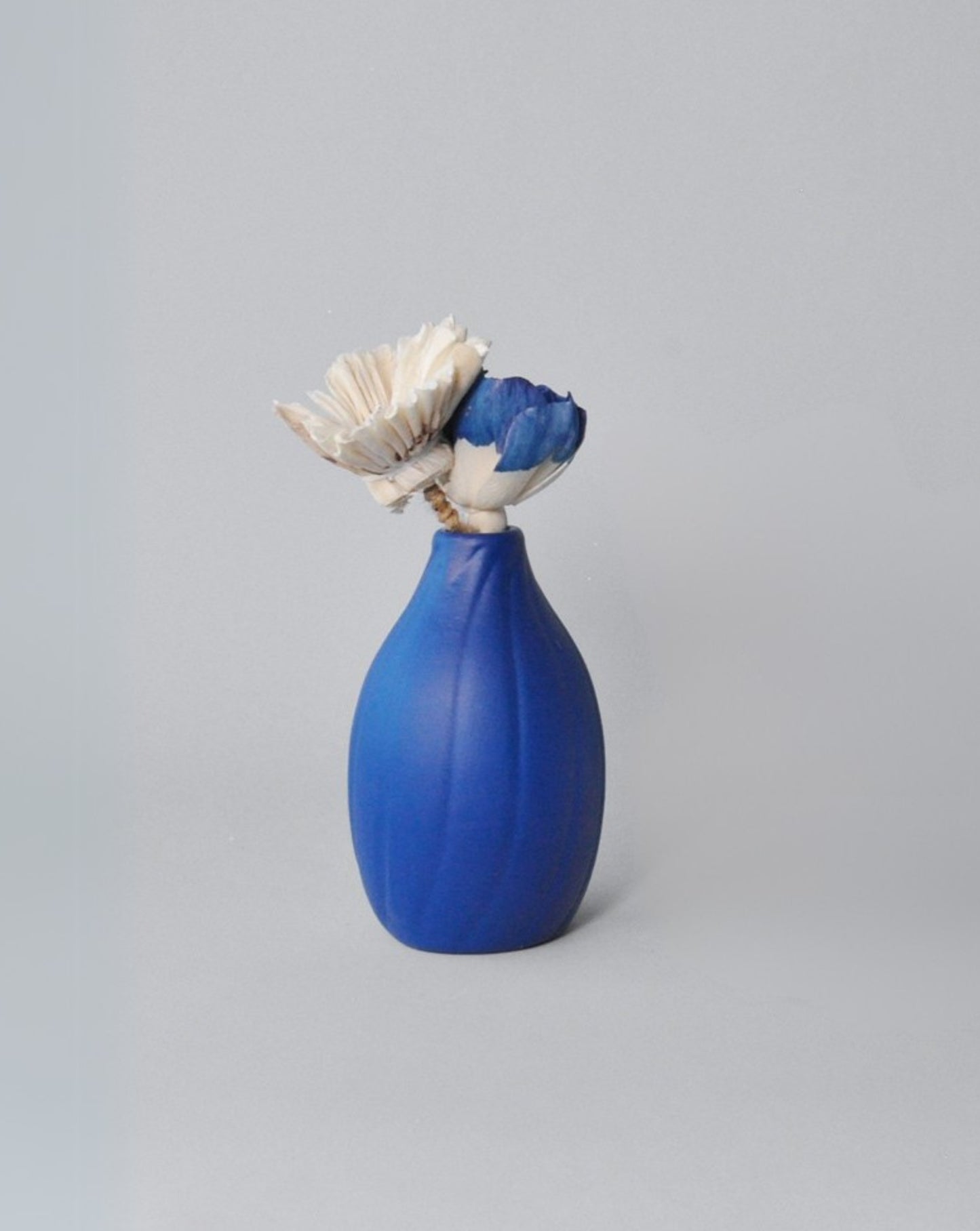 Indigo Peony Sola Flower | 5 Stems