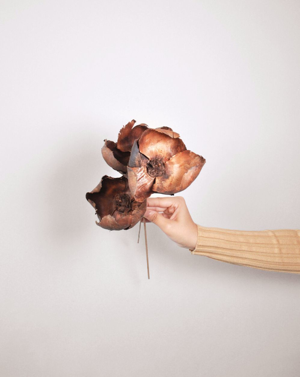 Tal Base Flower | 4 Stems