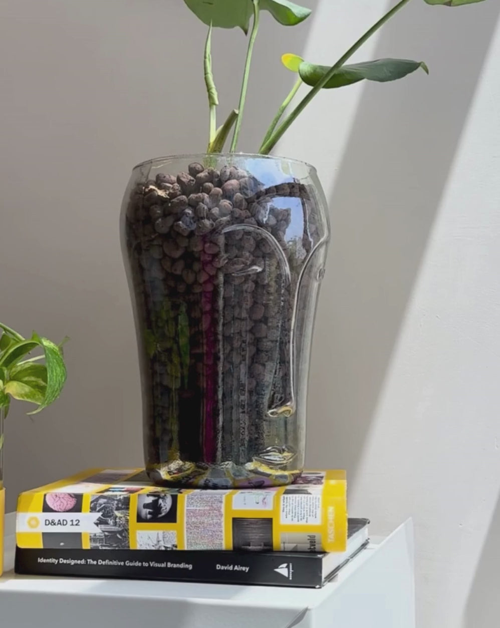glass vase for indoor plants Crystal Mona Glass Vase – Decorelse