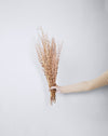 Palam Grass Bunch | Beige