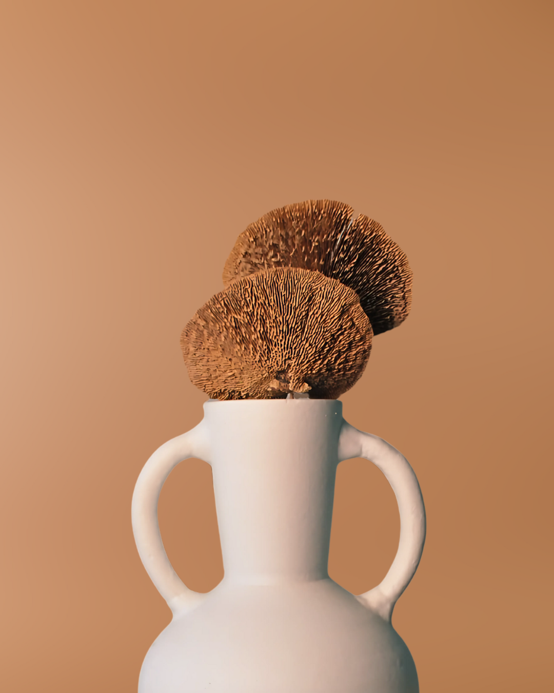 Fairy Mushroom Decor Stems (Pack of 4)