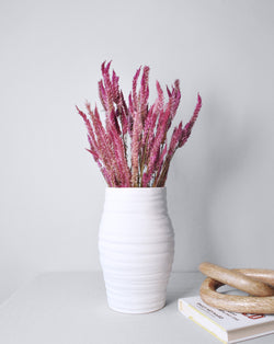 Dried Pink Celosia flower bunch | 25 stems