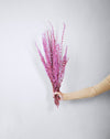 Palam Grass Bunch | Purple