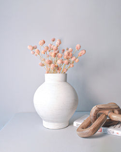Dried light Pink and white Gomphrena flowers Bunch | 25 stems