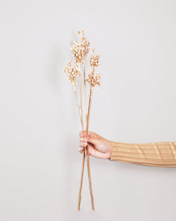 Natural Off-White Bead | 5 Stems