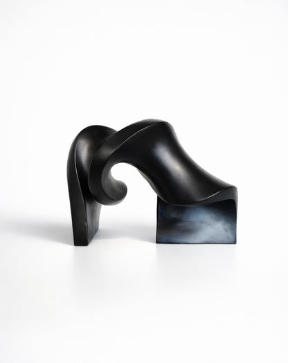 Black Fluid Wooden Sculpture