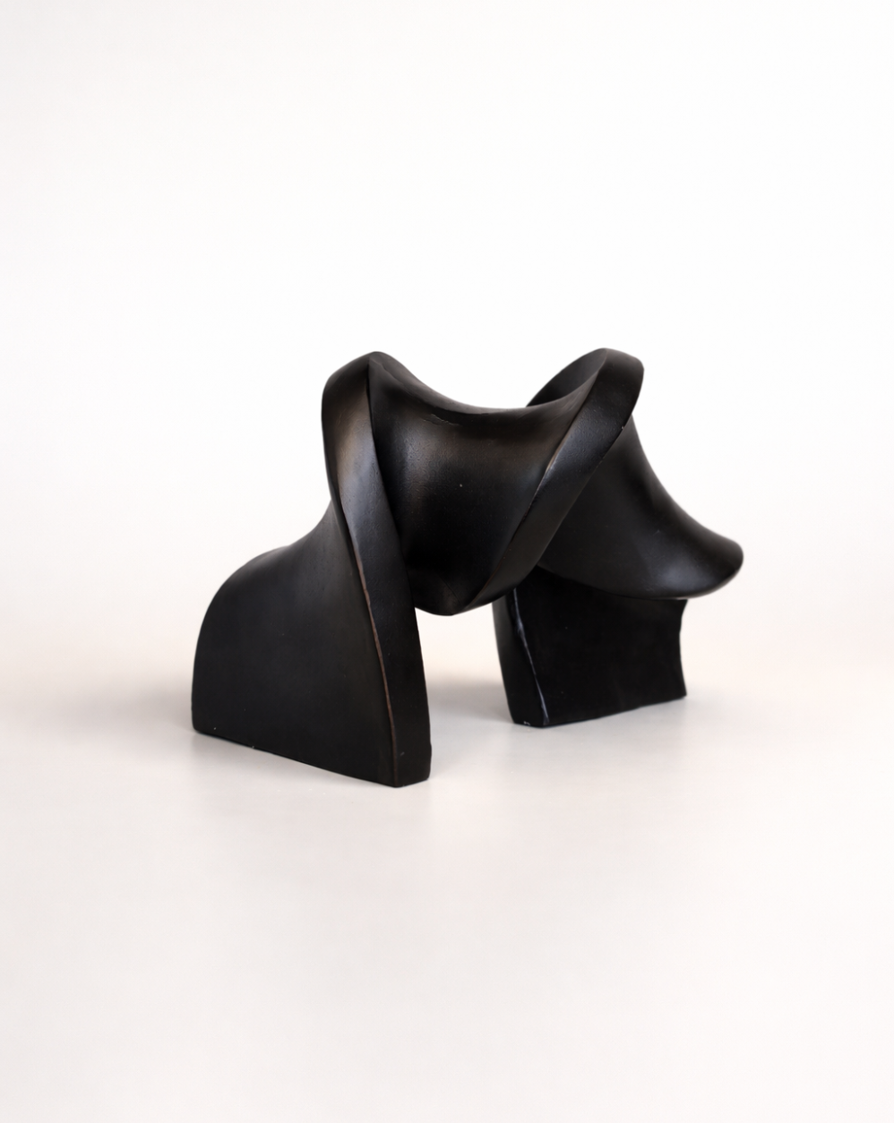 Black Fluid Wooden Sculpture