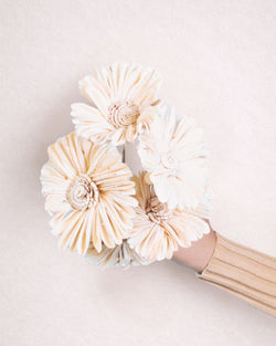 Sola Sunflower Stems (Pack of 5)