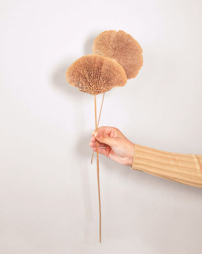 Fairy Mushroom | 4 Stems
