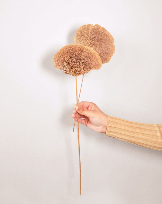 Fairy Mushroom | 4 Stems