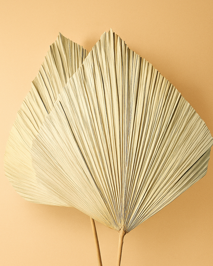 Big Palm Leaf Decor | 2 stems