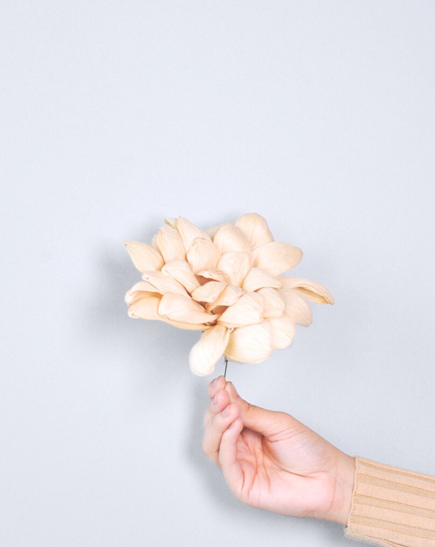 Corn Husk Flower Stems (Set of 2)